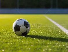 大乐透期号,专家质合分,析推荐,龙8国际,龙8国际官网,中国龙8国际,龙8国际入口