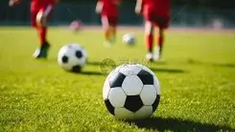 我国篮协坚决抵制莫雷言论，暂停与火箭队合作项目