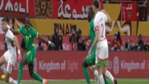 哈勒普网球生涯正式落幕