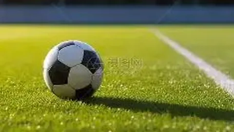 大乐透期号：专家质合分析推荐，前区十码调整琳奈复刻，周年庆惊